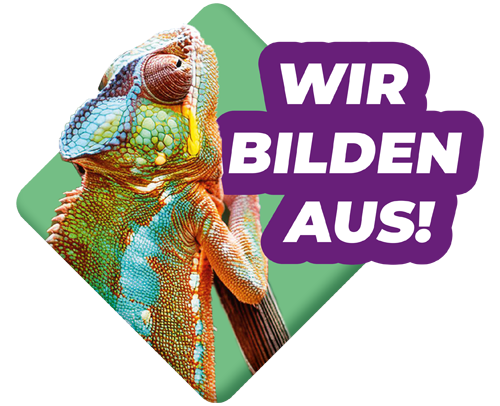 Steuerberaterkammer Nürnberg – Wir bilden aus